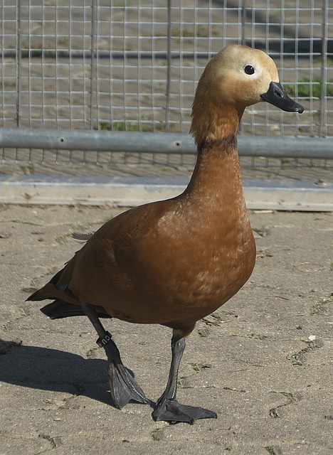 尤其是在客