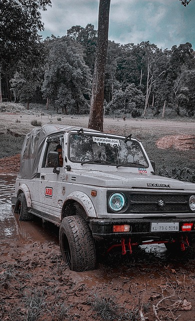 来通常展现 来通常展现