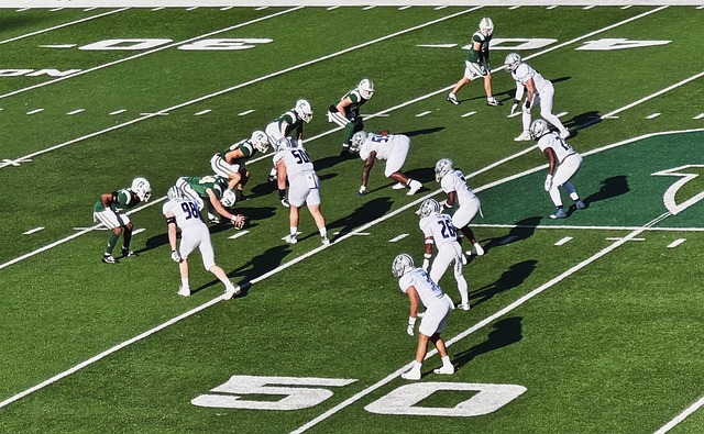 执行力和团 执行力和团