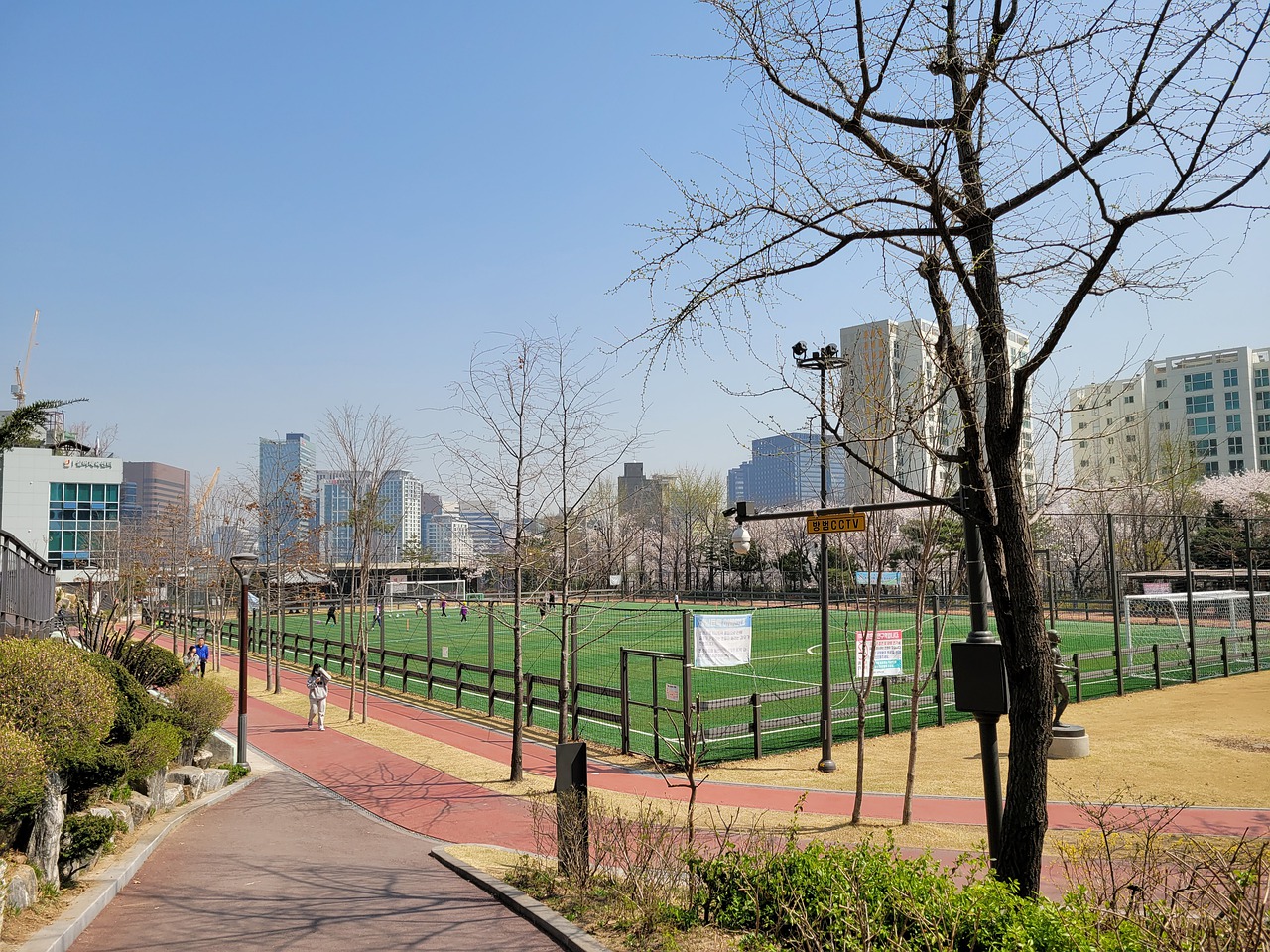 引发的WT 引发的WT