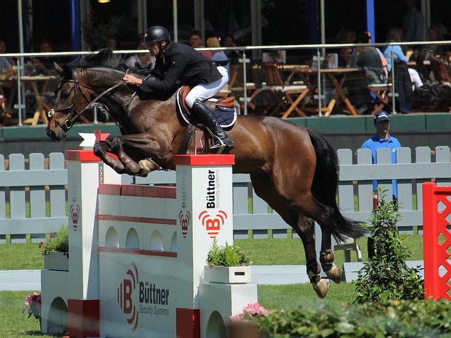 则展示了与 则展示了与